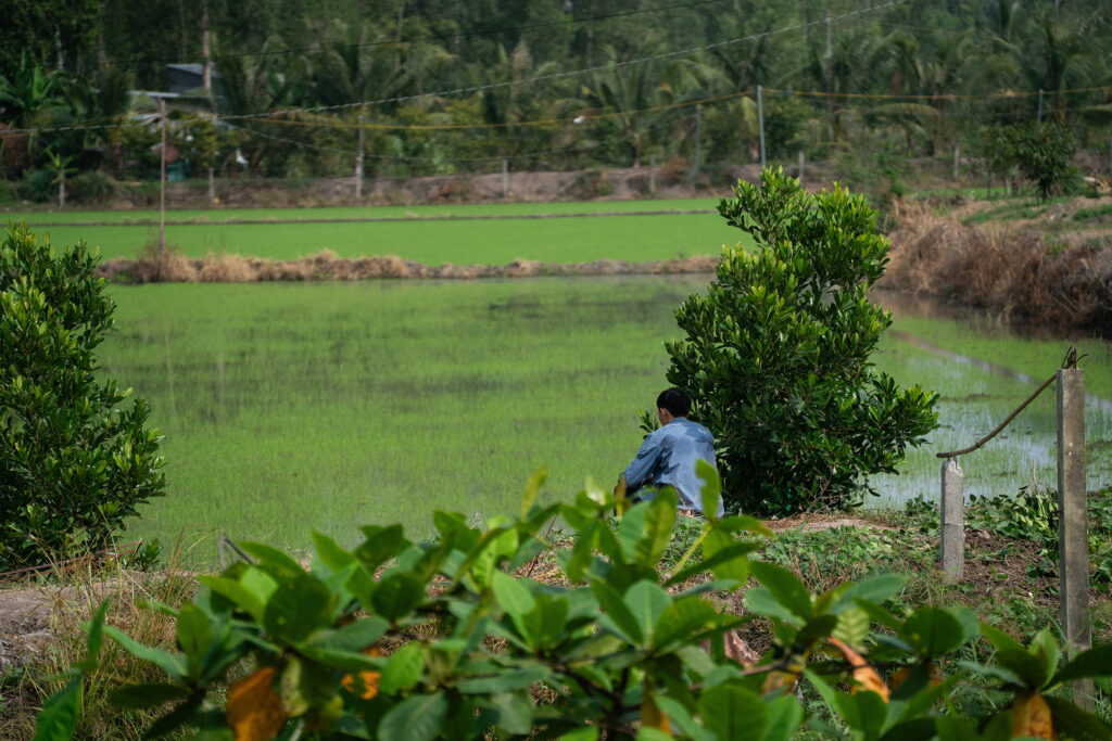 Vietnamese co-ops look to digital tools to chase EU trade