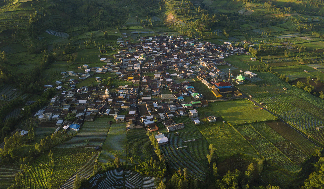 Indonesian wants village co-ops fully operational by middle of year