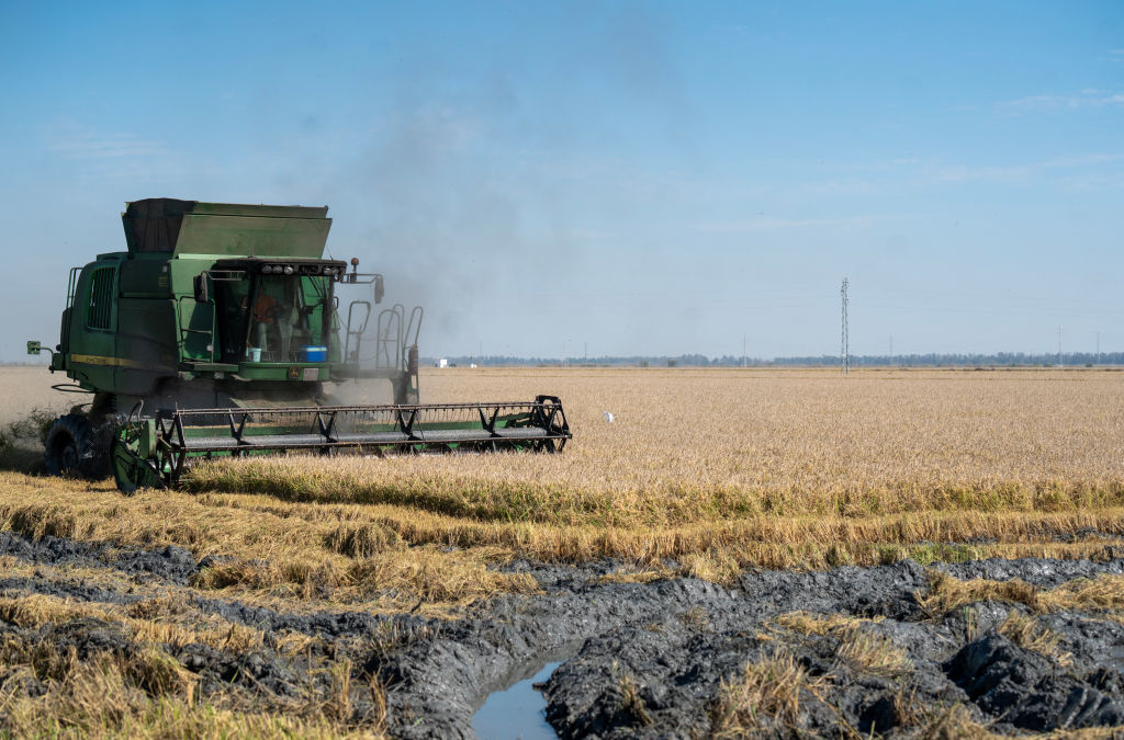 Copa and Cogeca sound the alarm over EU-Australia trade deal