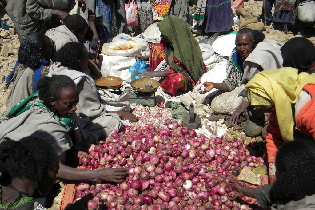 Ethiopia’s potato co-operatives rebuild and recover