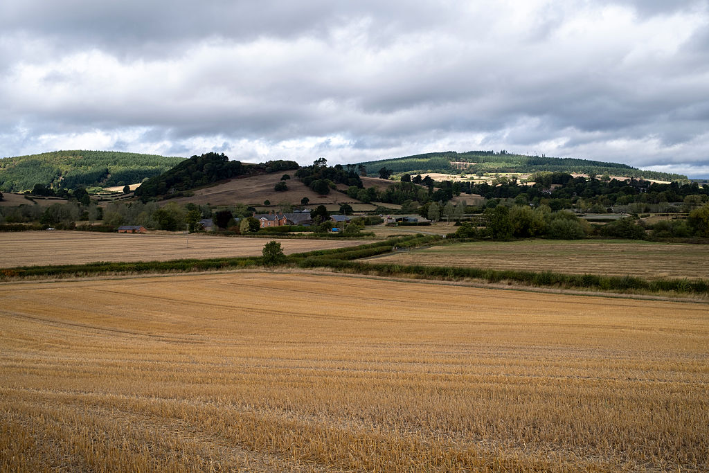 MP calls for debate on ways to boost UK farm co-operation