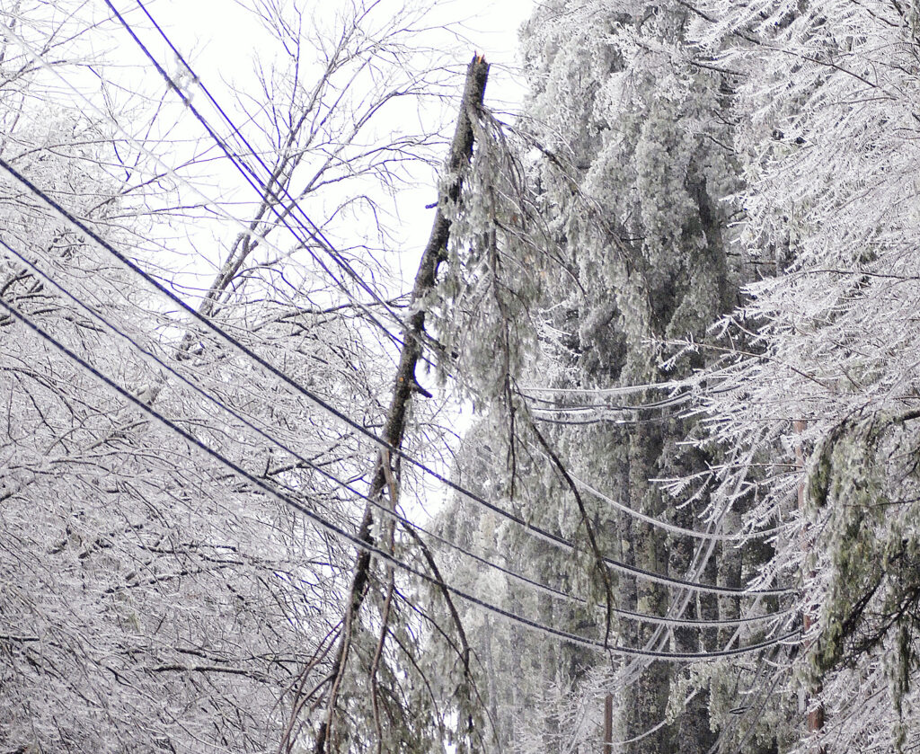 Michigan energy co-ops can apply for federal funds for storm restoration