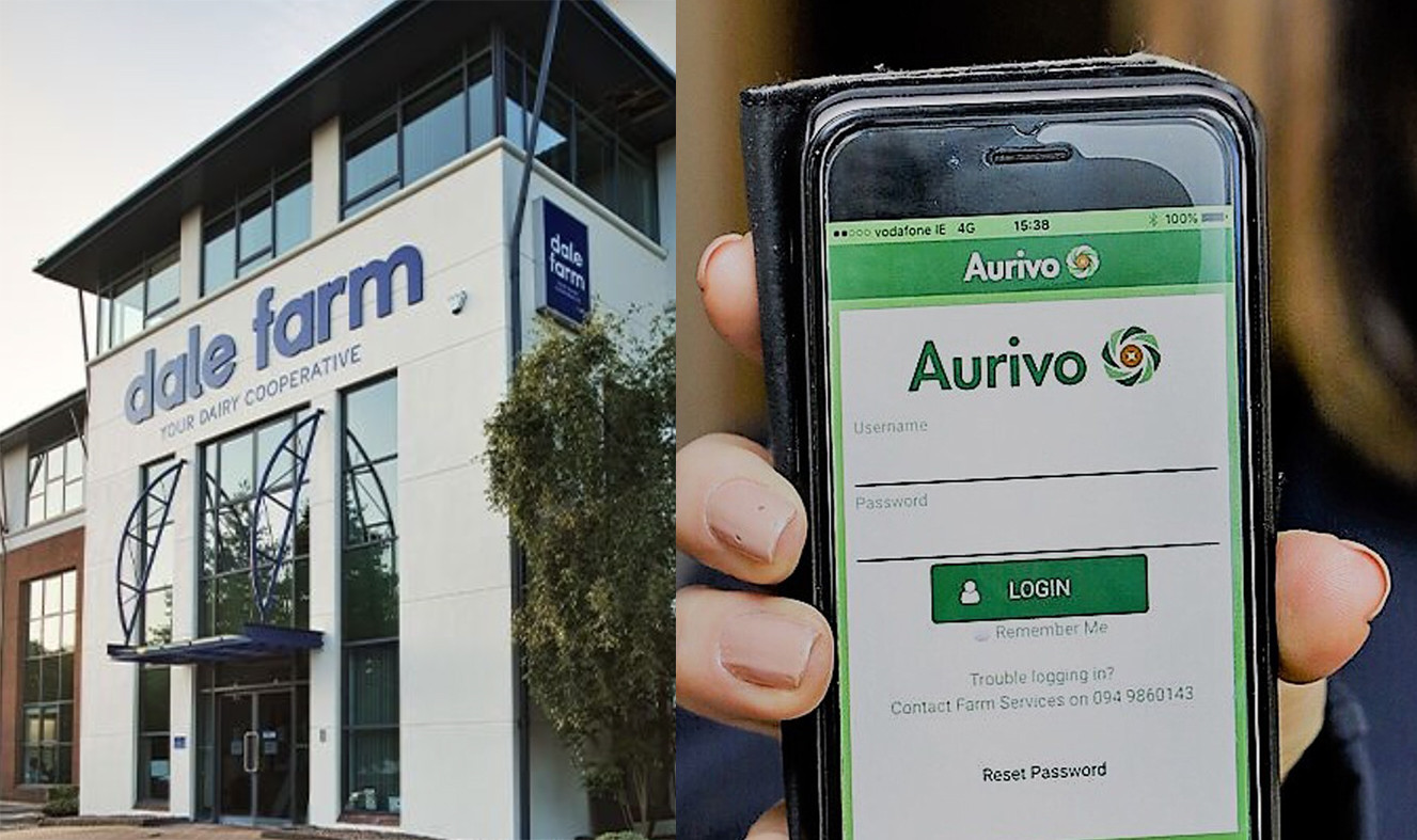 Dairy co-ops Dale Farm and Aurivo enter all-Ireland partnership