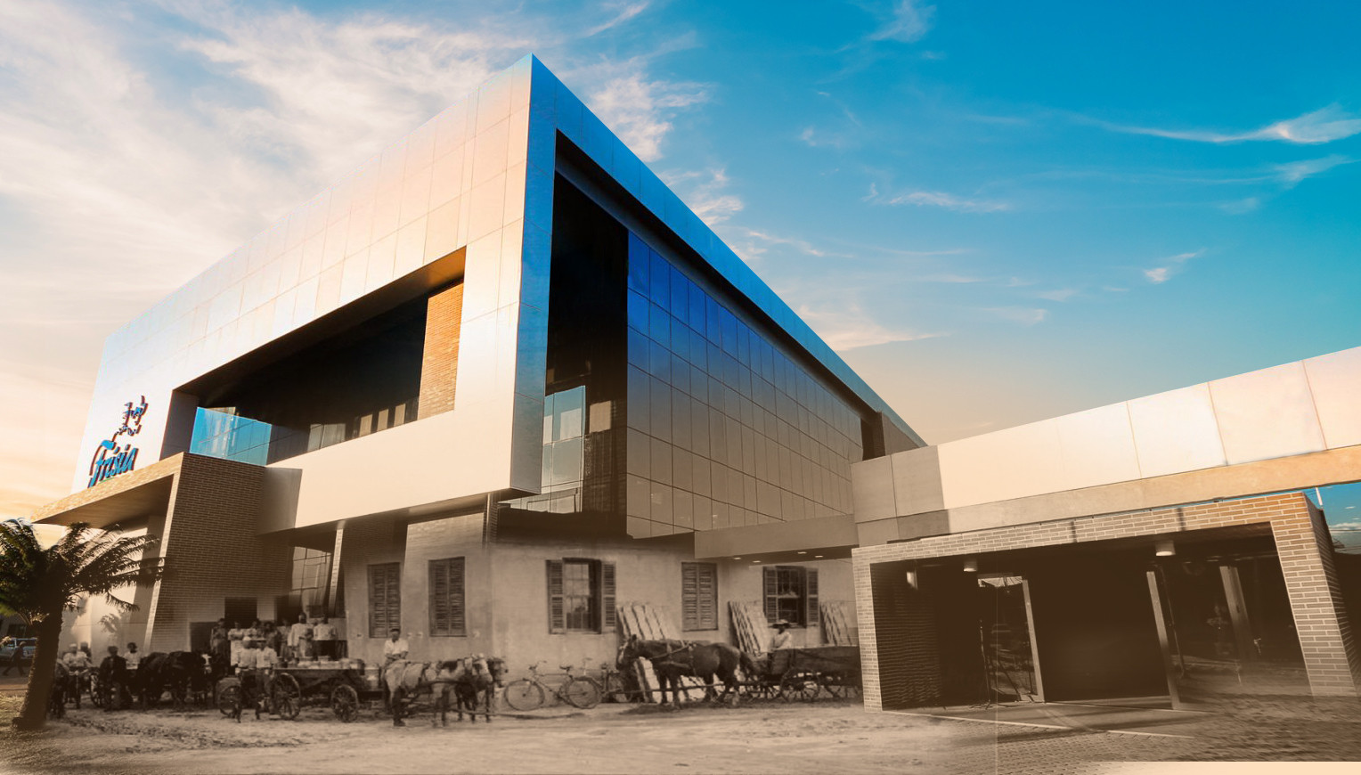 Brazilian agri co-op Frísia acquires soy crushing plant