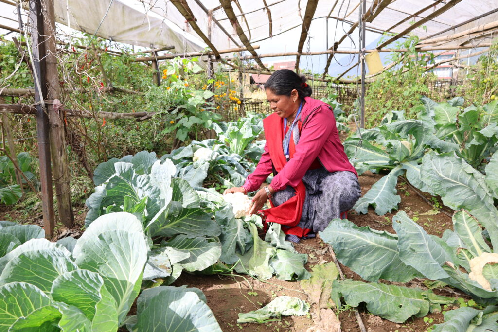 How Nepal’s co-ops are minimising caste-based discrimination