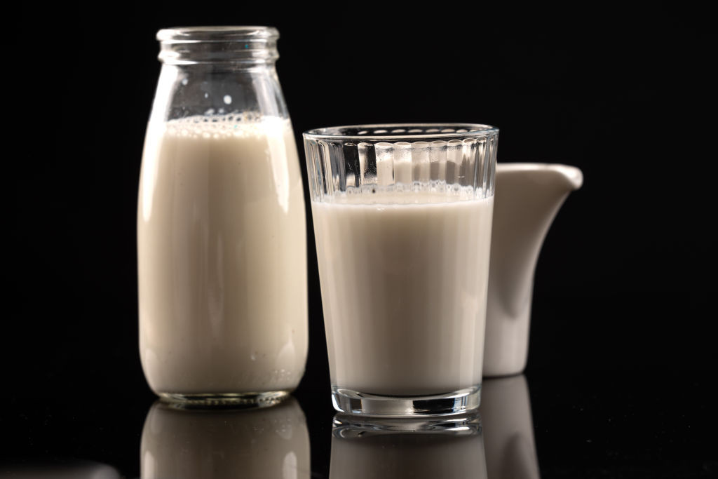 Moroccan dairy co-op launches $11m production plant