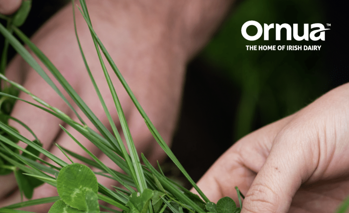 Kerrygold owner Ornua co-op reports €136.6m operating profit