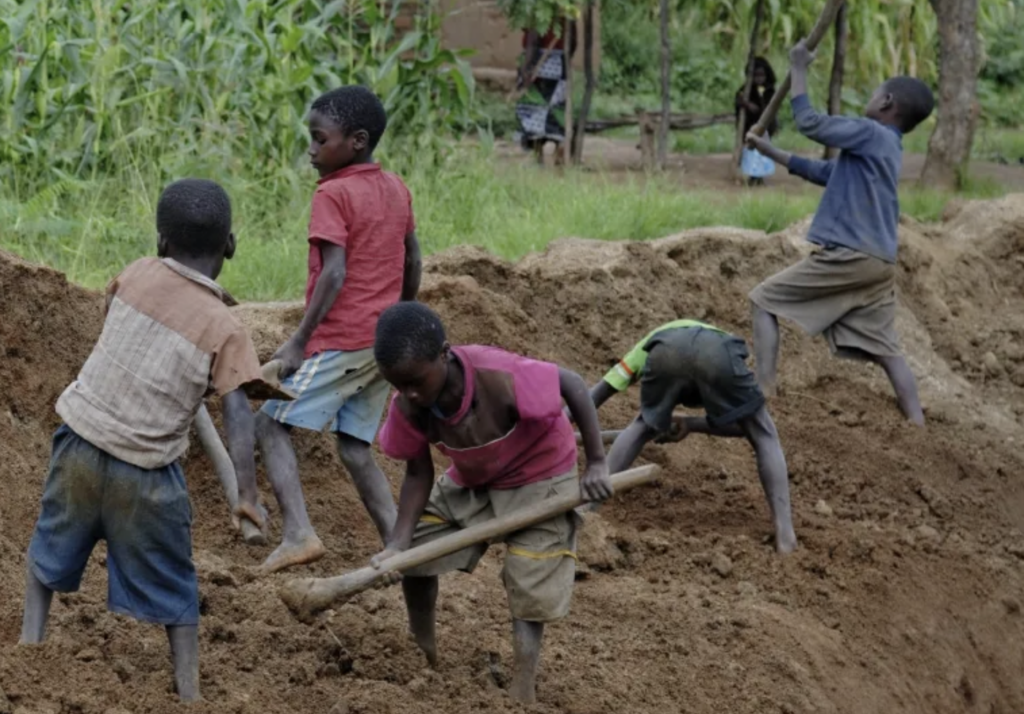 Kenyan tea and coffee co-operatives tackle child labour