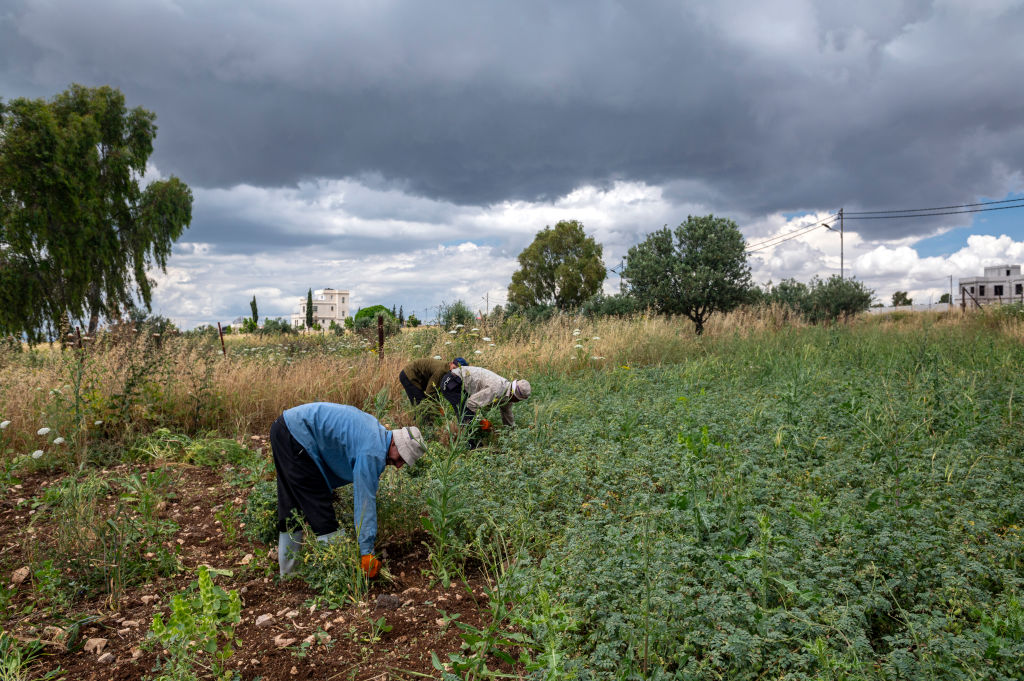 Land deal aims to boost agricultural co-ops in Jordan