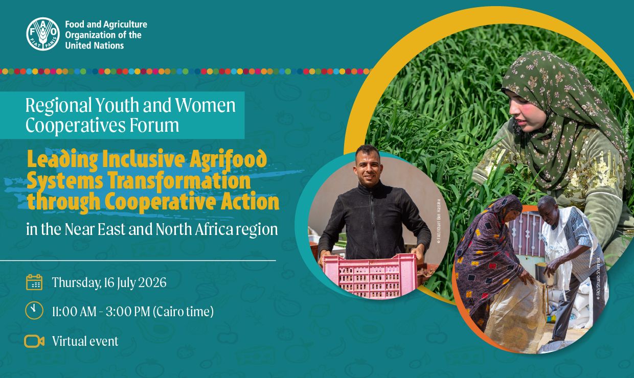 How co-ops are transforming agrifood systems in the Near East and North Africa