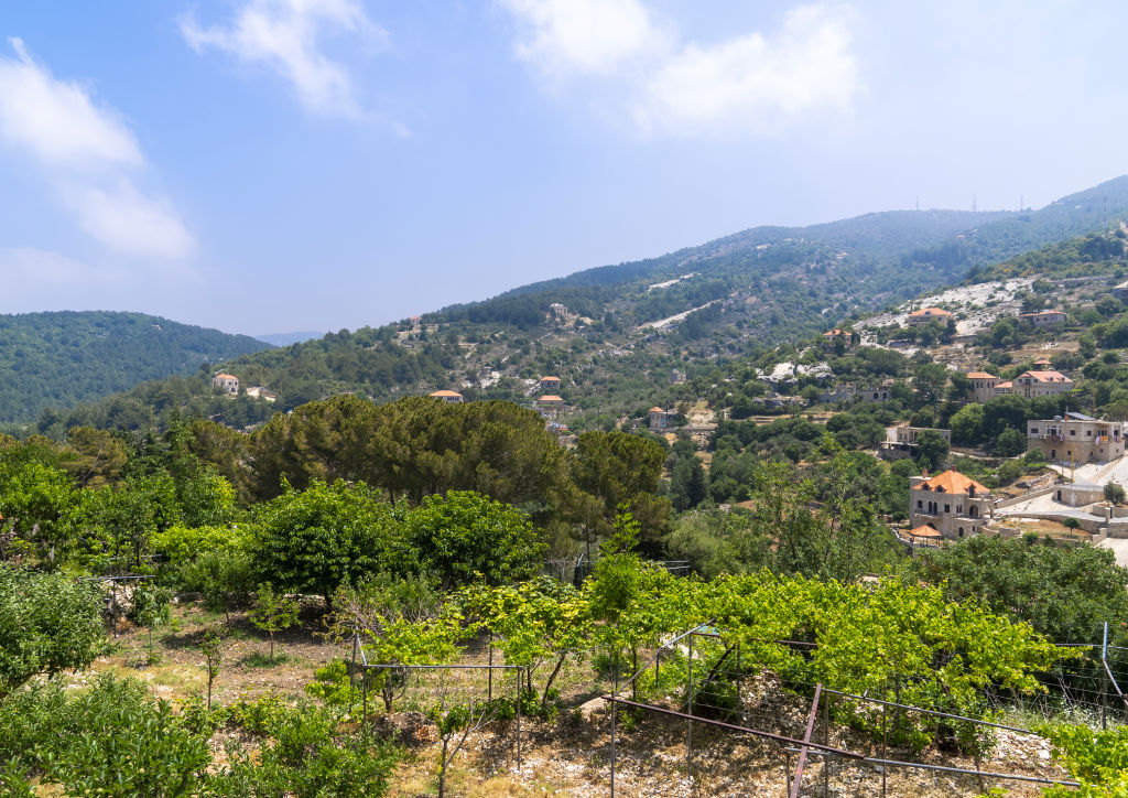 UN offers grants of up to $35k to Lebanese agri co-ops