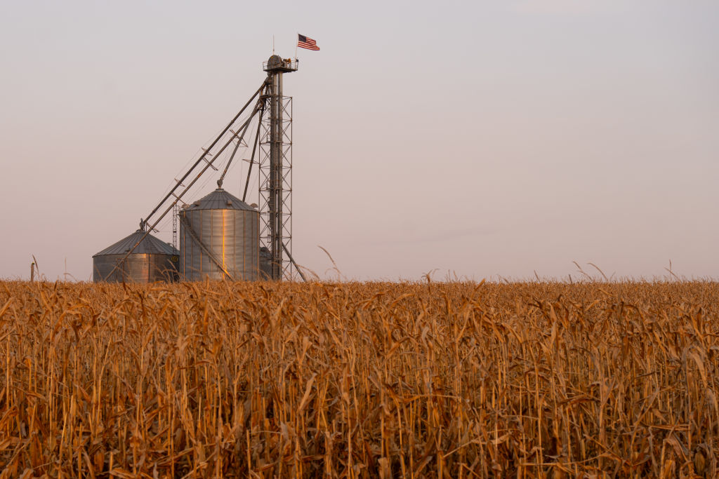 US farm co-ops apex joins calls to end Agricultural Act deadlock