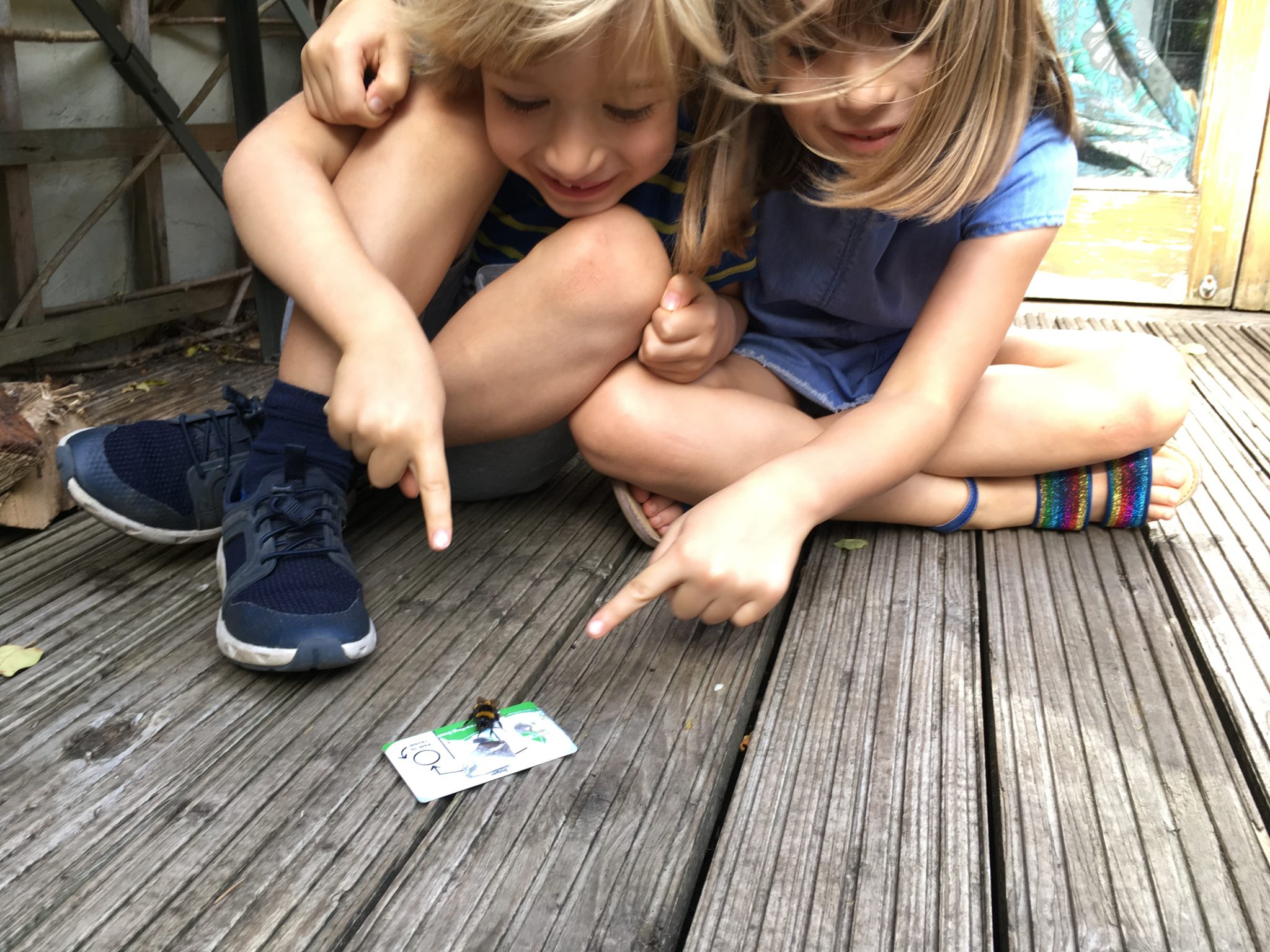 Bee Saviour Behaviour 2