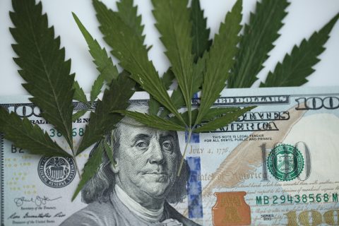 Marijuana and dollars