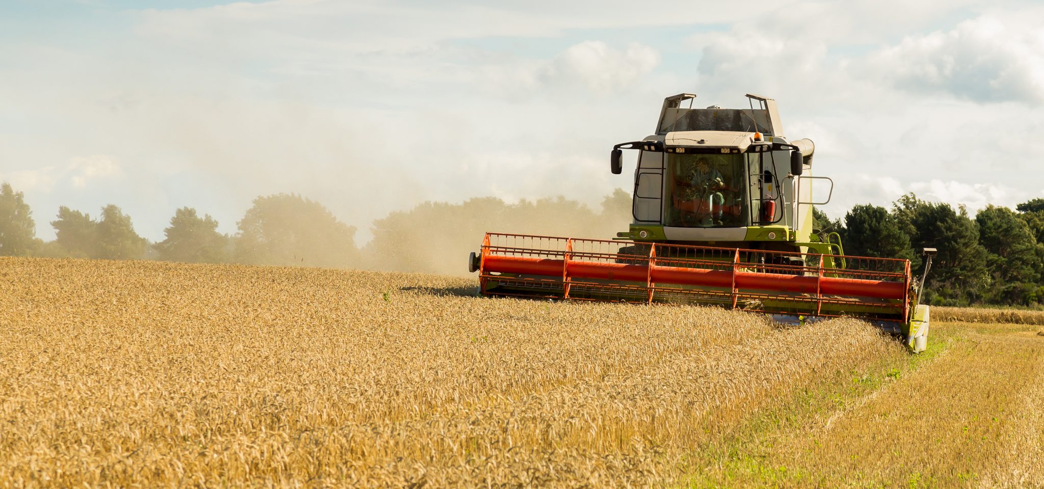 Farm co-ops can boost UK’s food security, says report