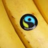 Fairtrade bananas