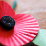 Poppy image