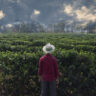 Photo of a coffee farmer