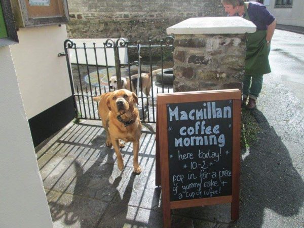 The shop is a favourite among pets, too! (c) High Bickington Community Shop 